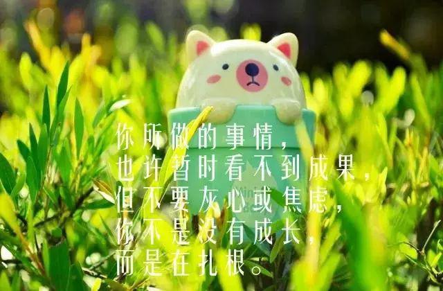 孝道名言佳句60句