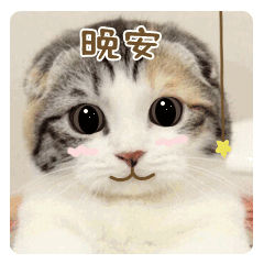 2020晚安心语图片带字句子大全