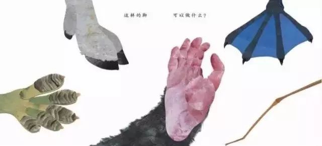 这样的鼻子可以做什么？  幼儿故事 绘本在线阅读