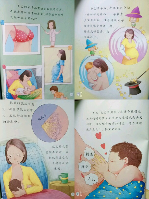 绘本《妈妈的乳房》满足孩子对的好奇心