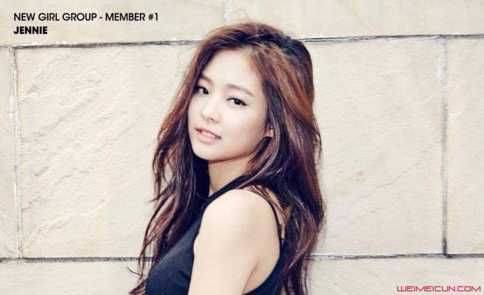 blackpink成员个人资料