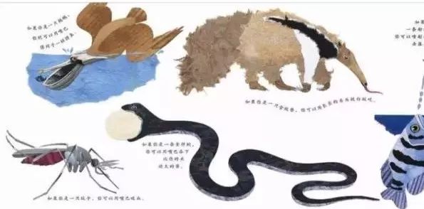 这样的鼻子可以做什么？  幼儿故事 绘本在线阅读