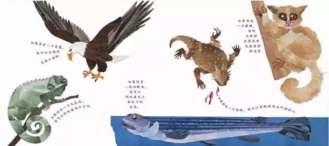这样的鼻子可以做什么？  幼儿故事 绘本在线阅读
