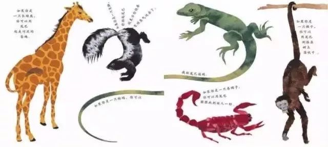 这样的鼻子可以做什么？  幼儿故事 绘本在线阅读