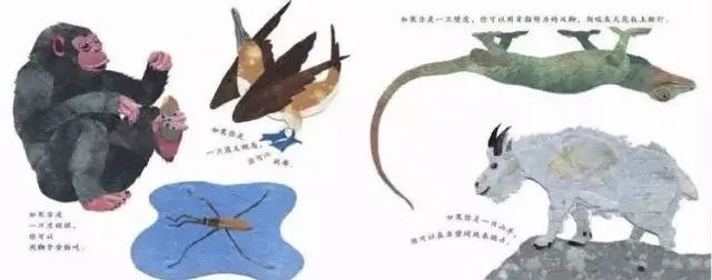 这样的鼻子可以做什么？  幼儿故事 绘本在线阅读