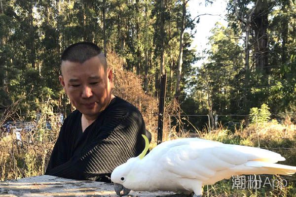 郭德纲给小辫儿张云雷买鸡腿什么梗 出自哪里