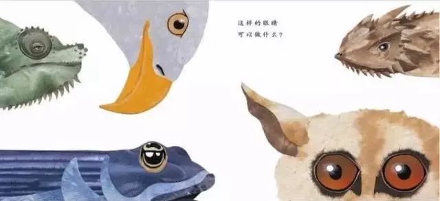 这样的鼻子可以做什么？  幼儿故事 绘本在线阅读