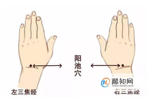 阳池穴穴位位置图及作用