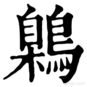鷍